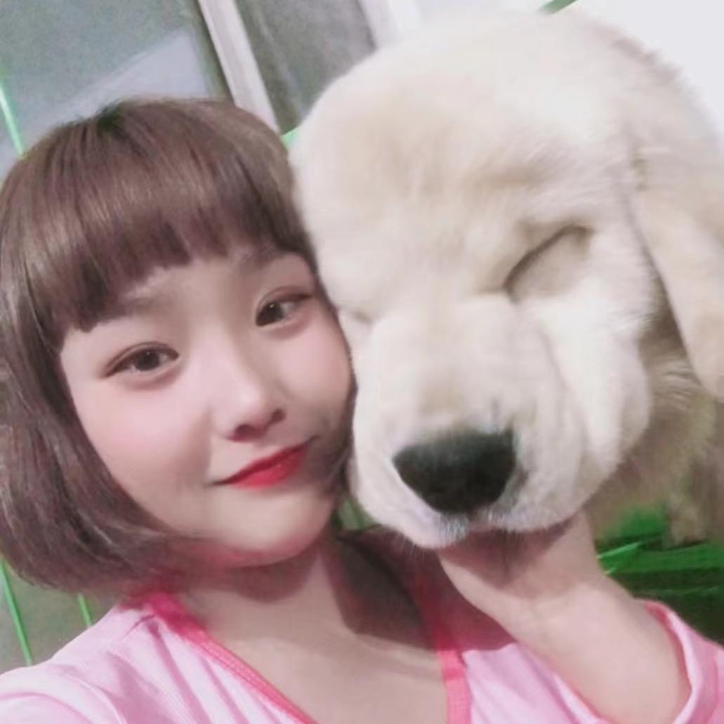 西安木南犬舍（直播号）