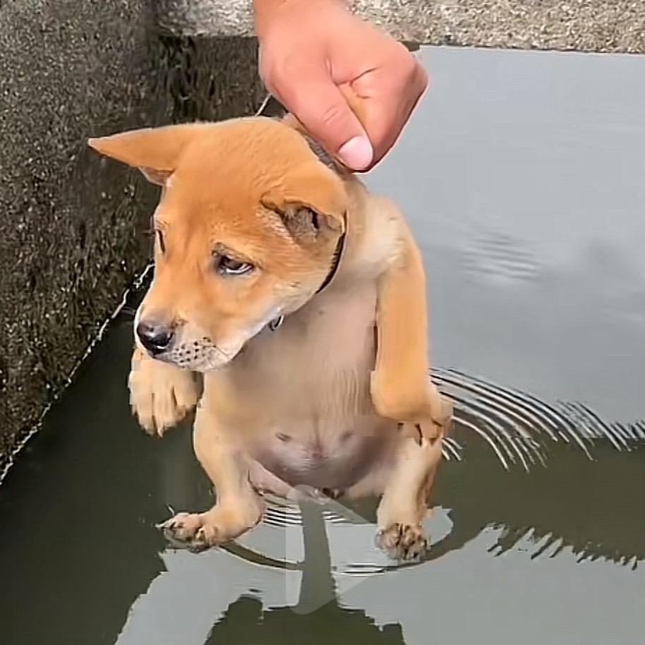 就是有趣
