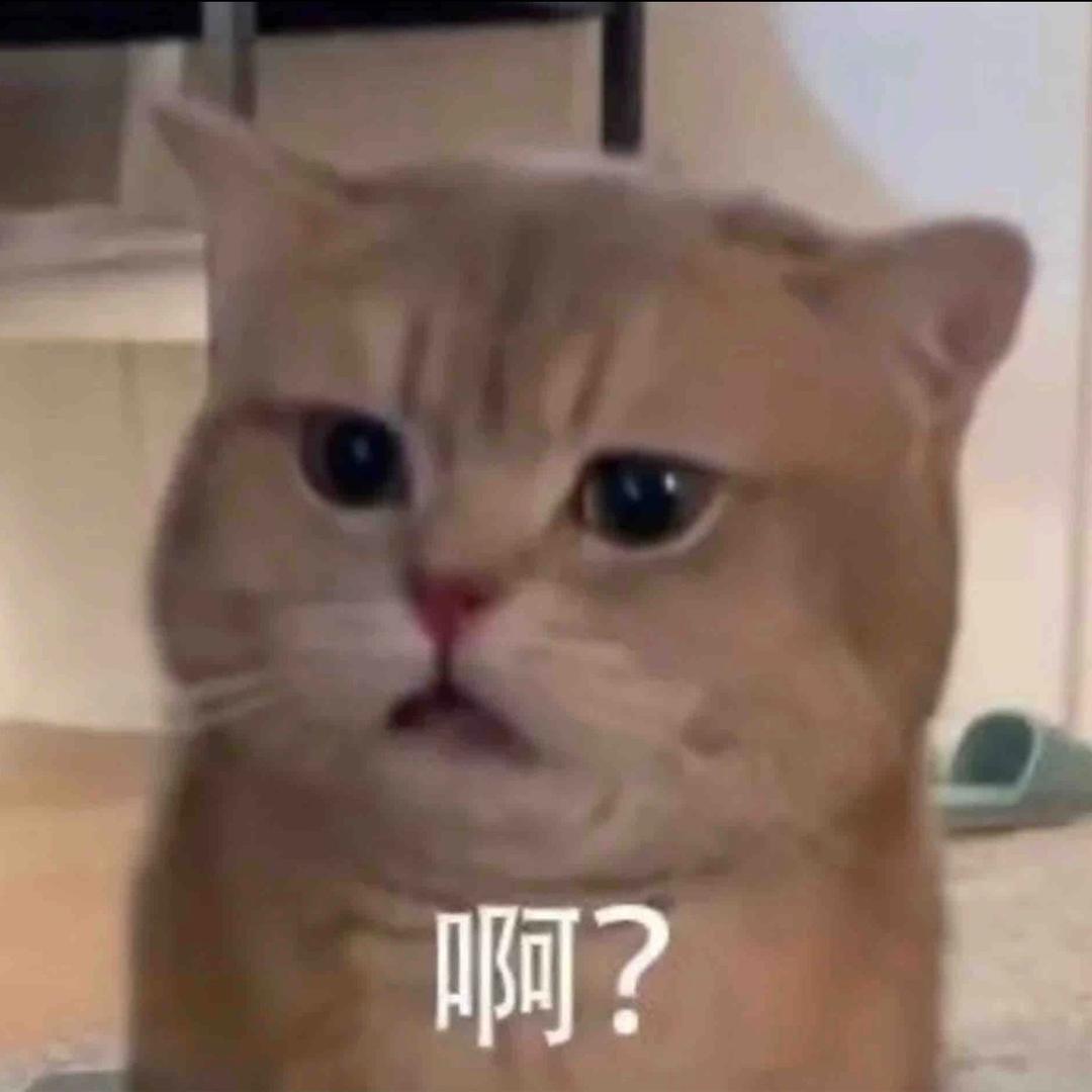 善刹全法头像