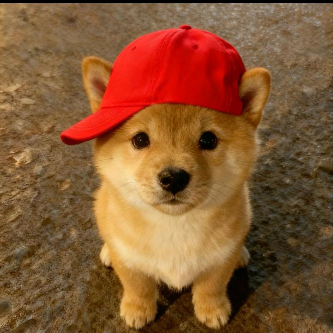 🫥