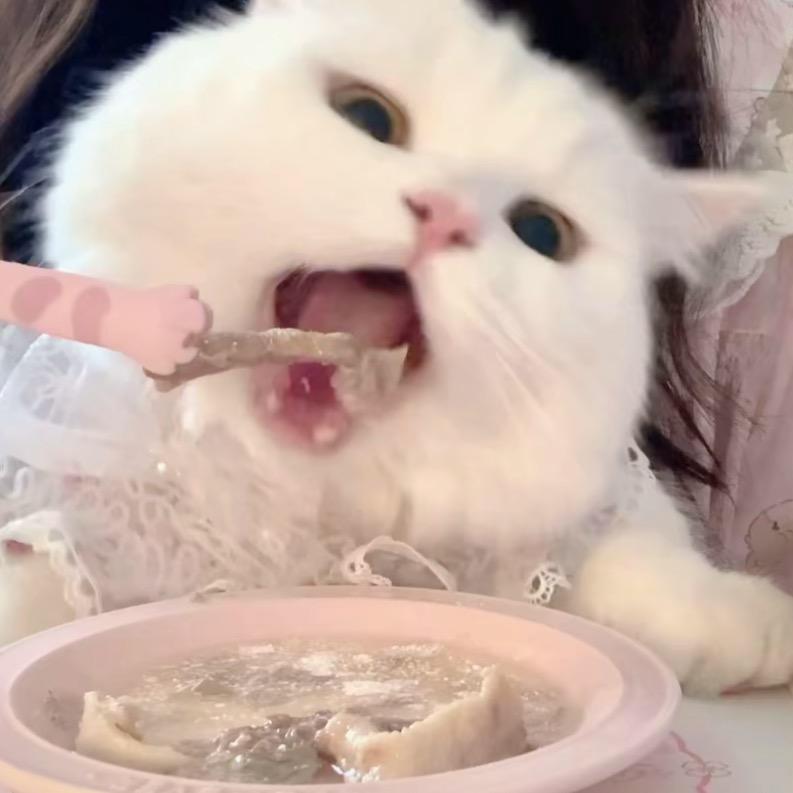 小冰脆脆鲨
