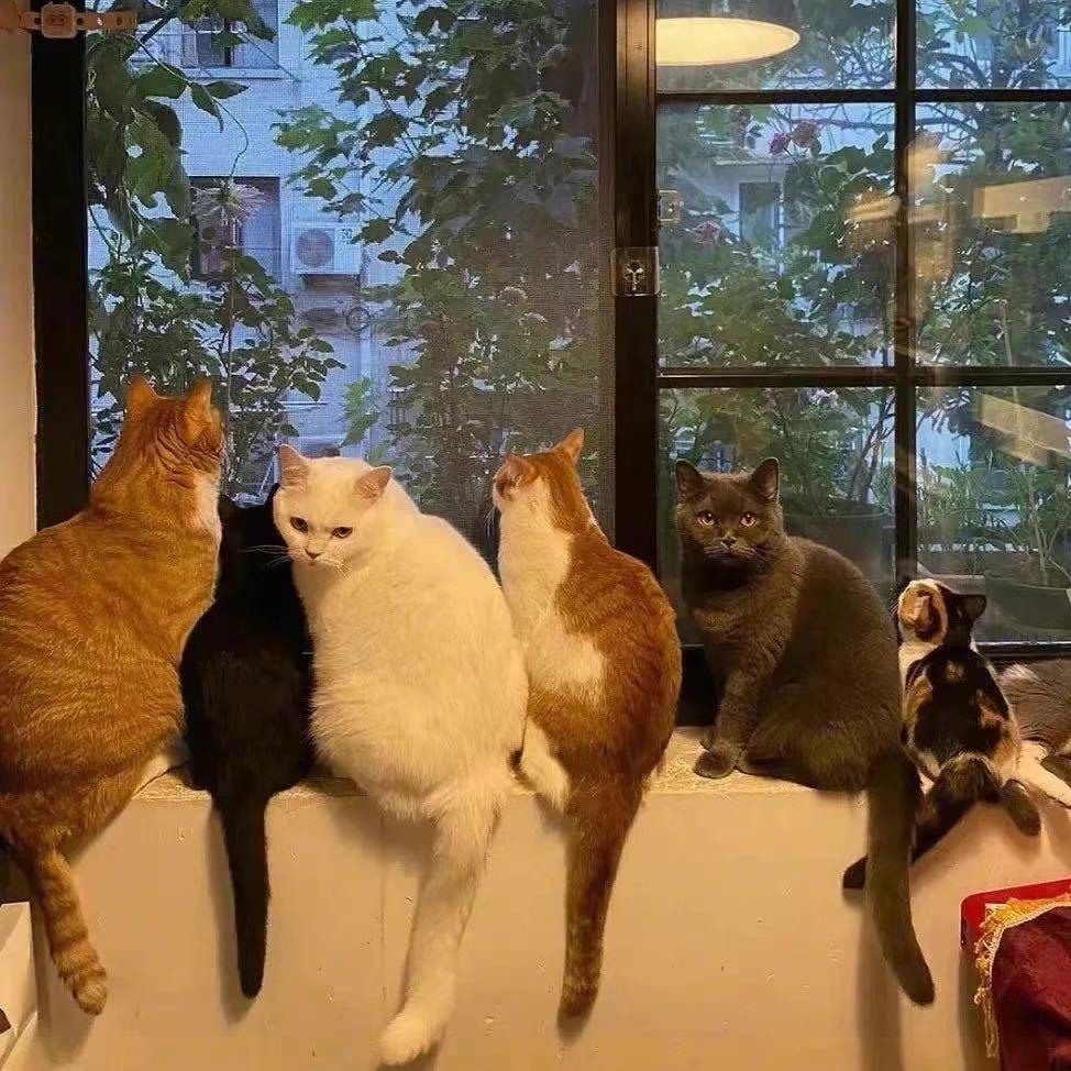 7U邱