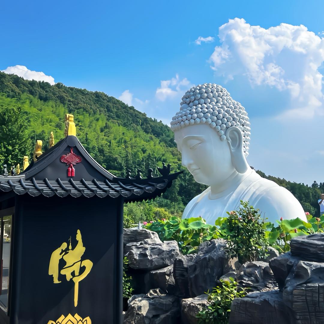 了尘师兄