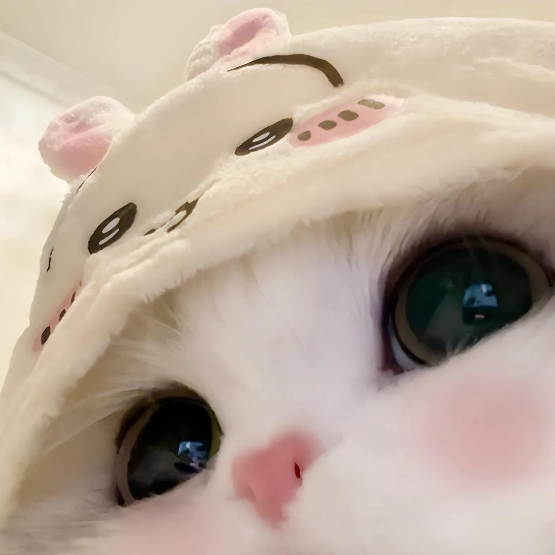 小乐（短视频）