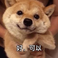 长歌🌈
