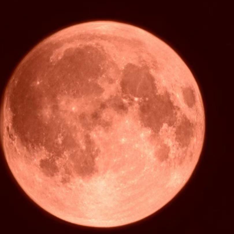 💞小轩轩💕⁵²º