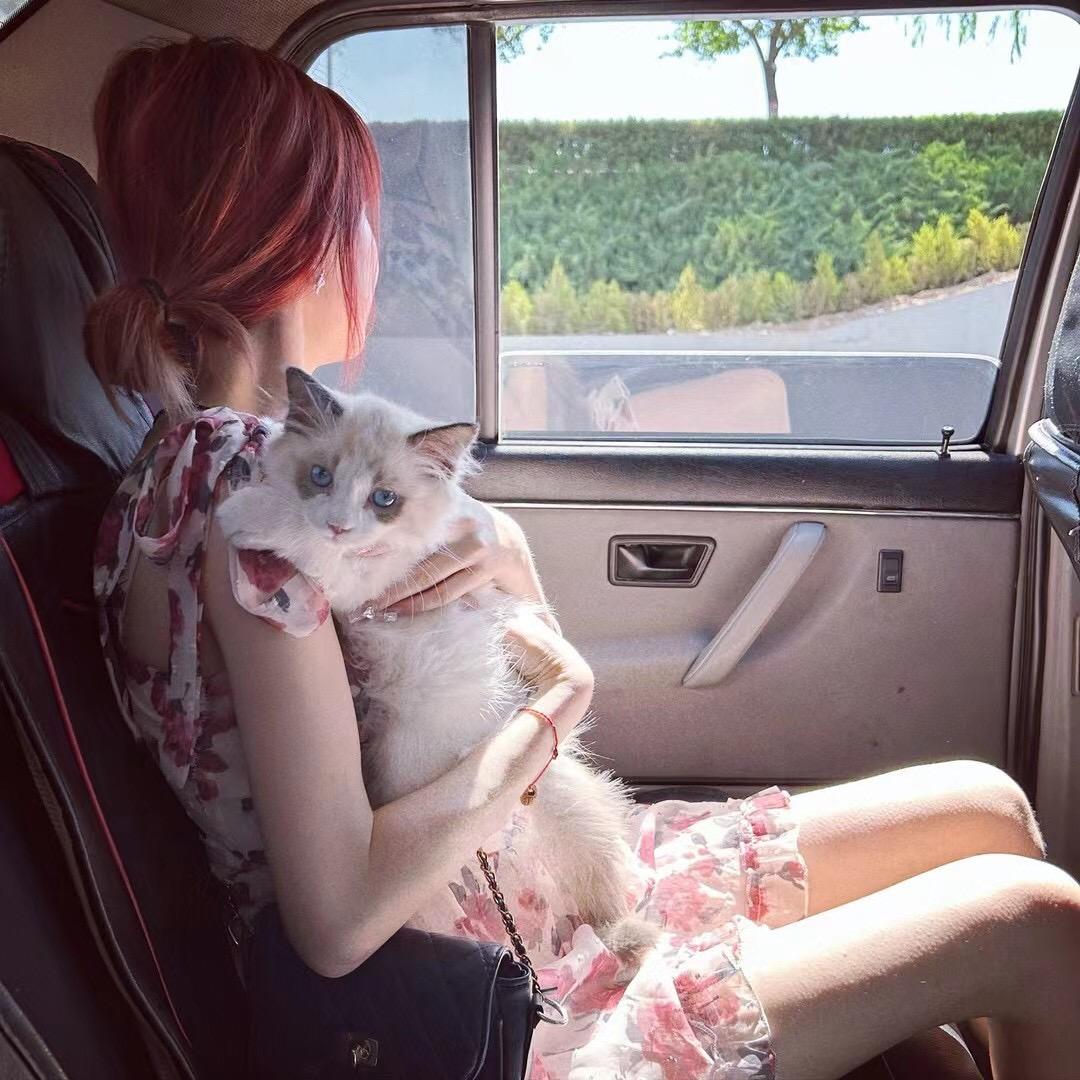 1小有名气的美女.