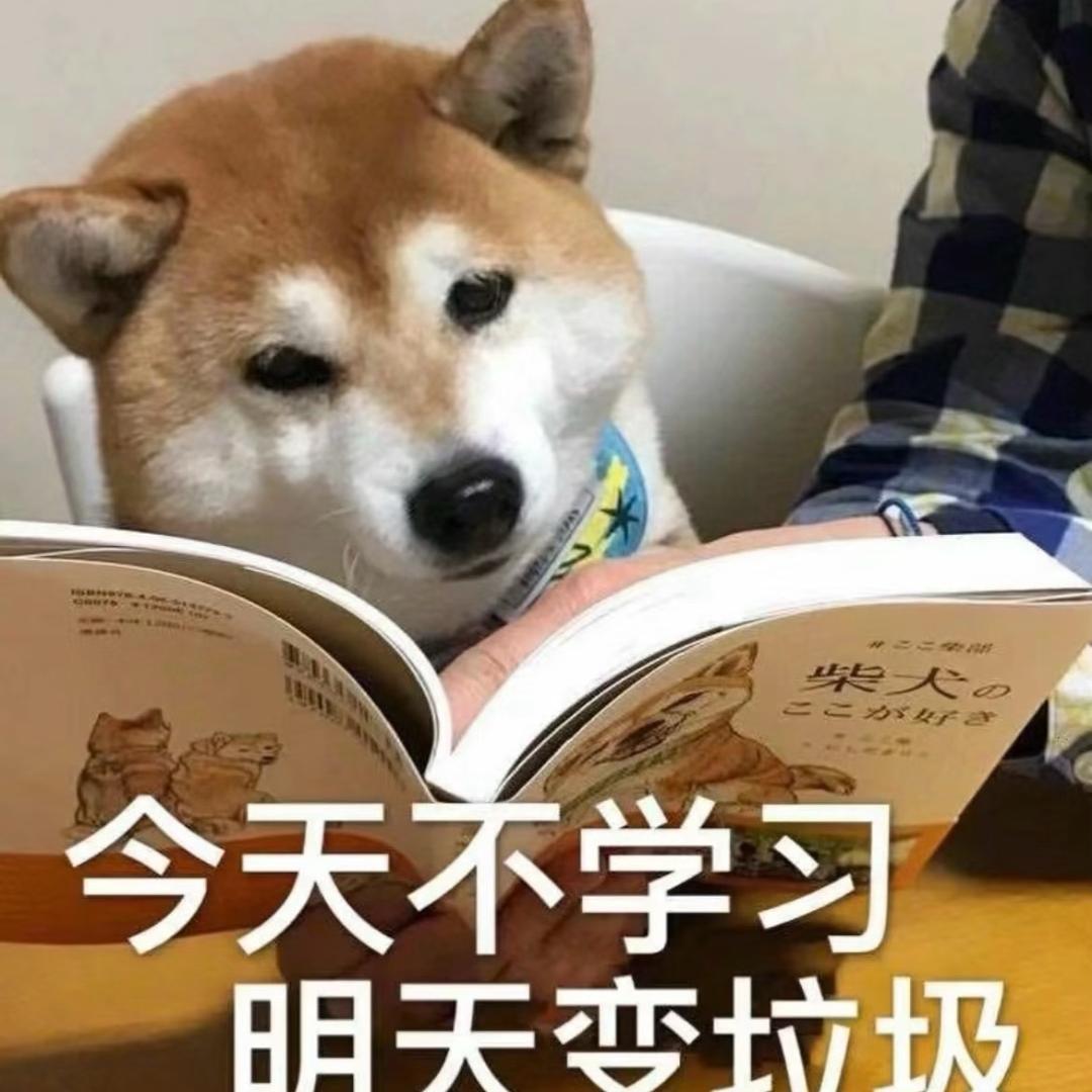 佳佳小怪兽
