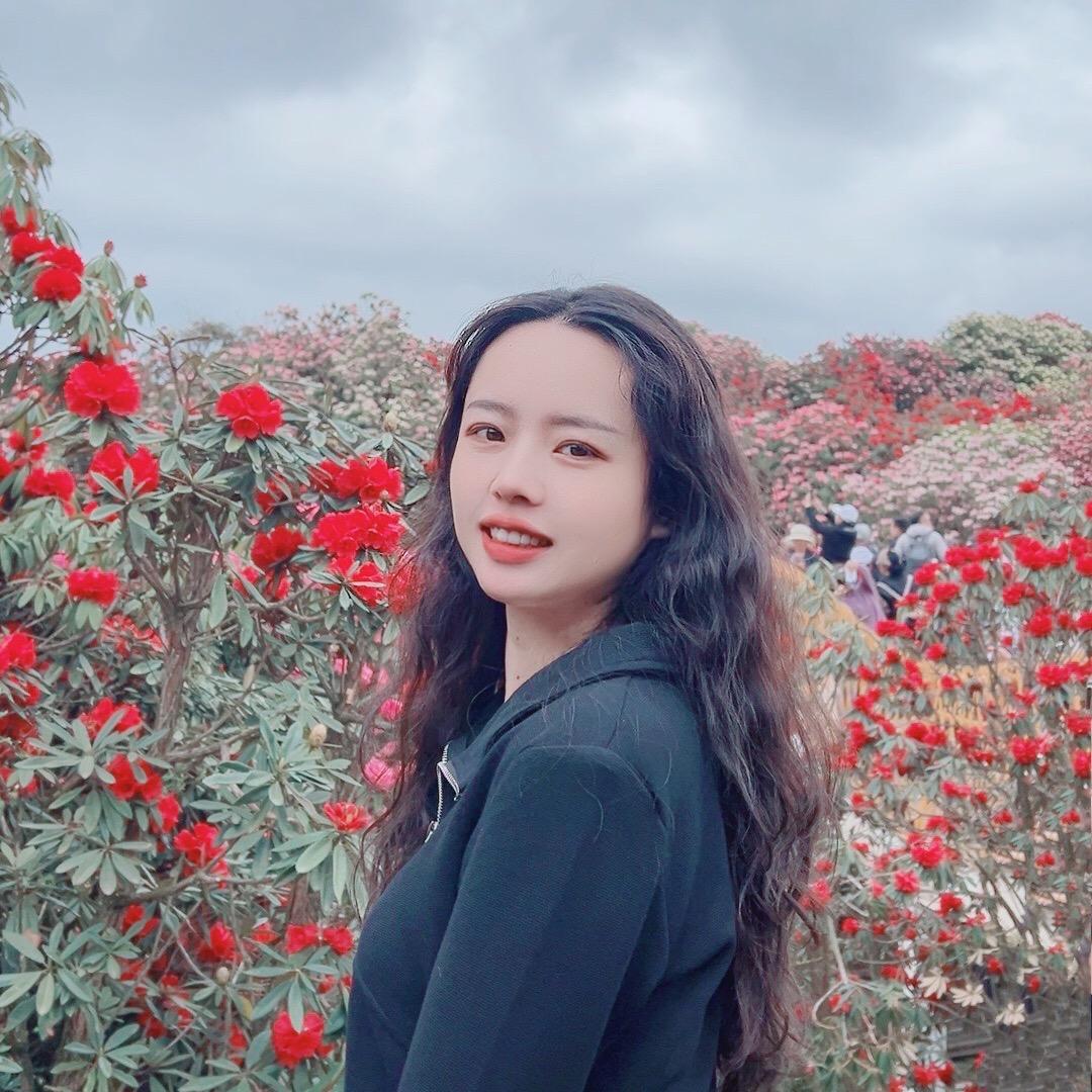 加加旅行