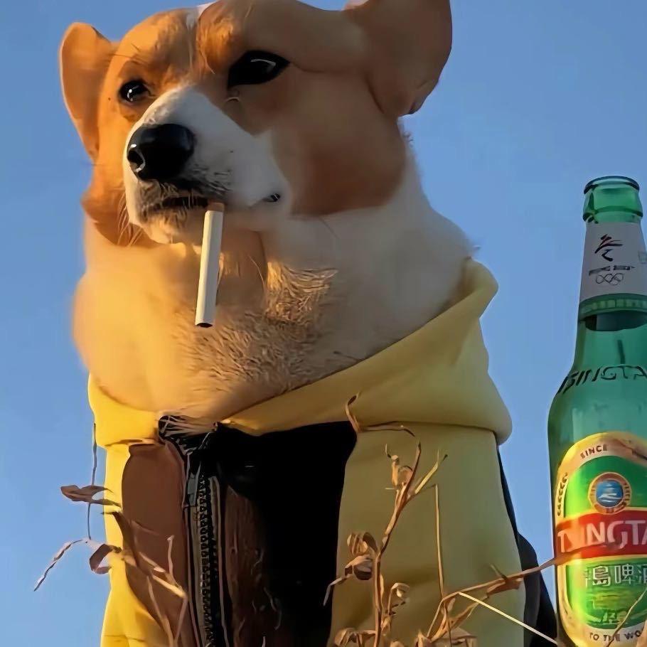 苦面包🍞