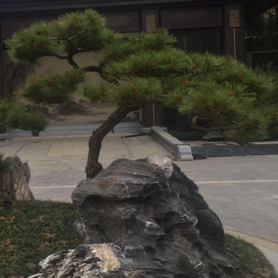 难忘过去