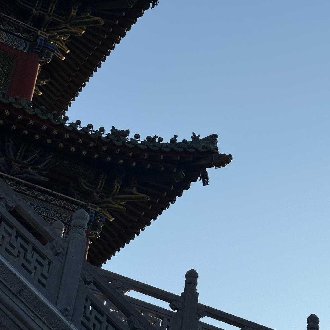 说了不吃就不吃