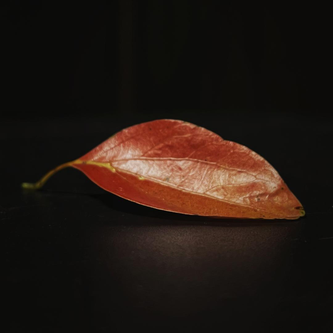 不器茶局
