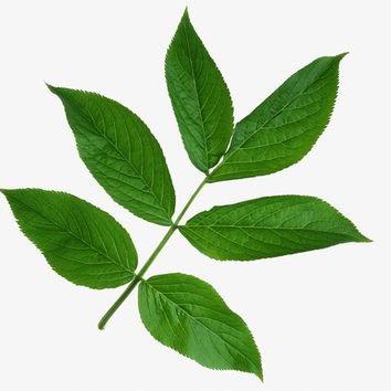 上海木木森包装