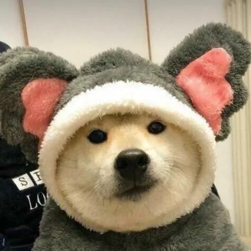 防不是防