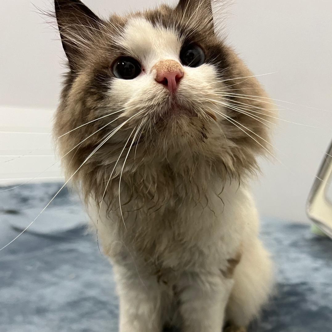 思考是变态的原动力