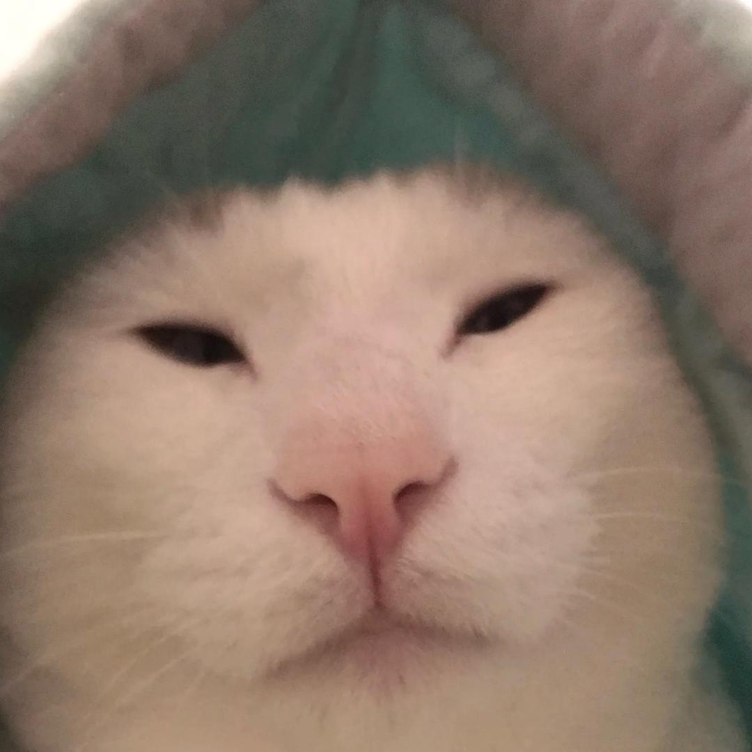 ℡