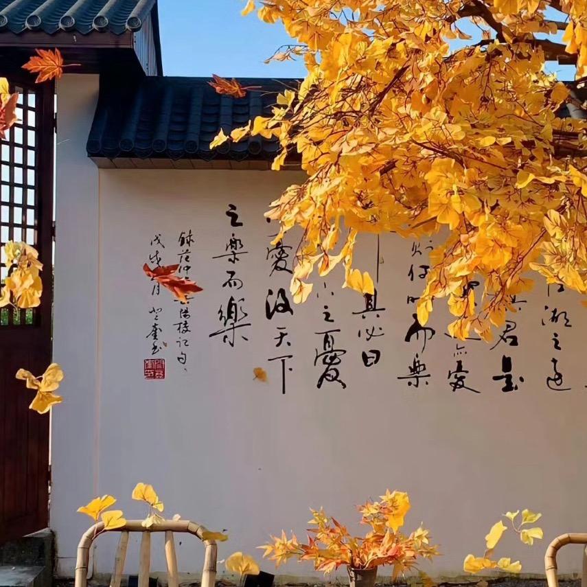 只想养一只鹦鹉🌳