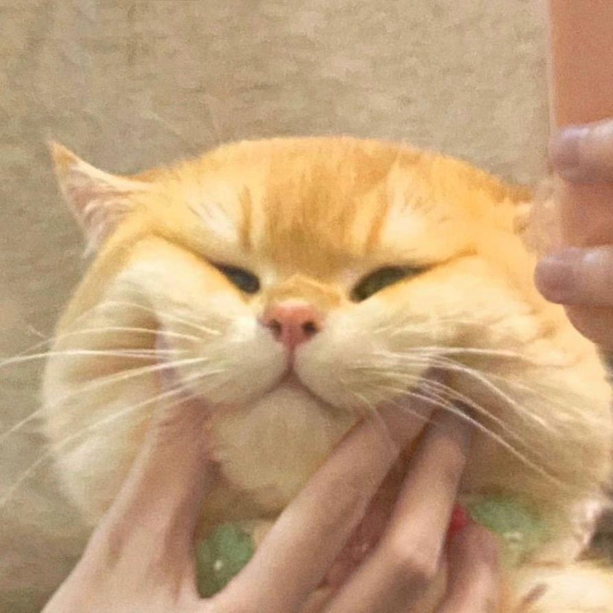 爱喝怡宝的小怡