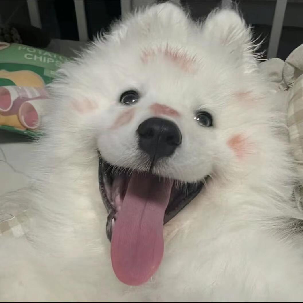 王石砳