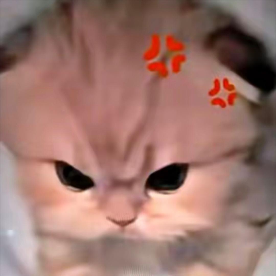 菜包嘟嘟嘟嘟嘟