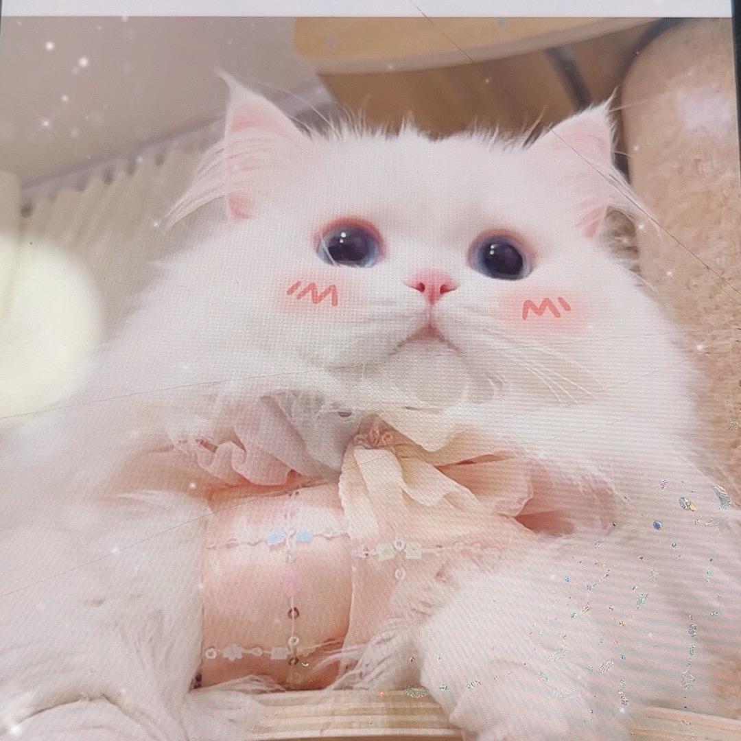 粉鼻头渐渐