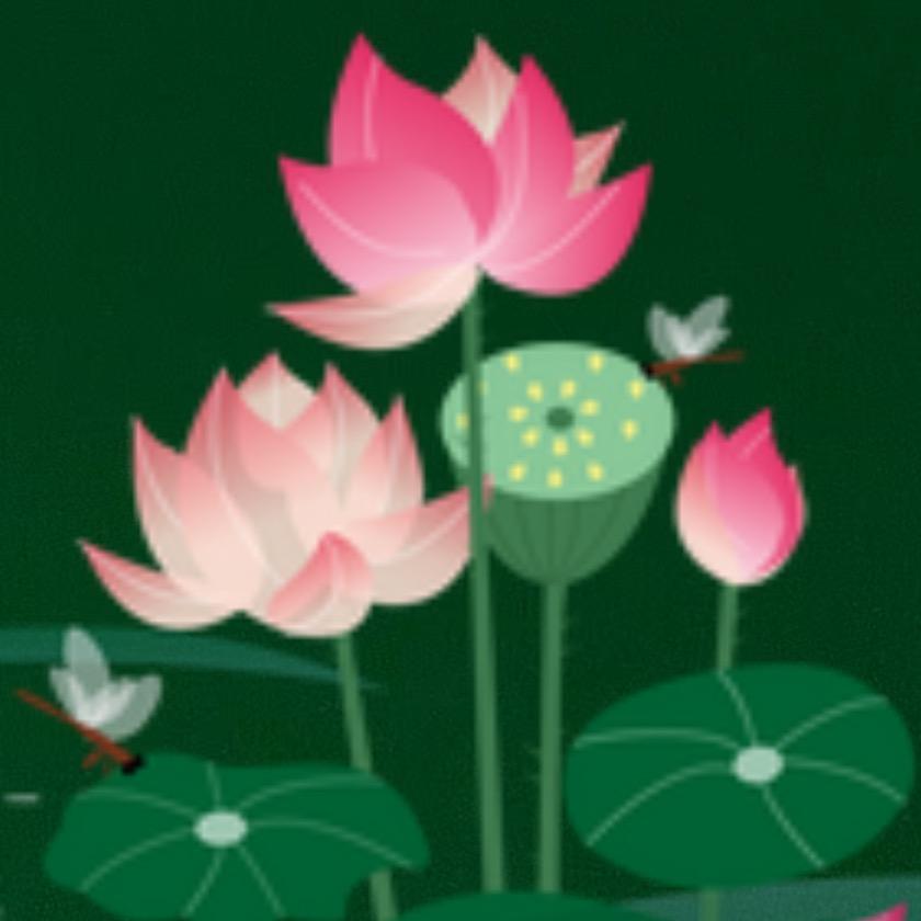 淼淼妈