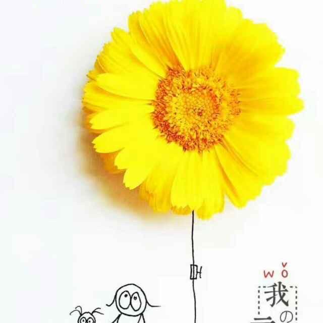 张漂亮百货臻选