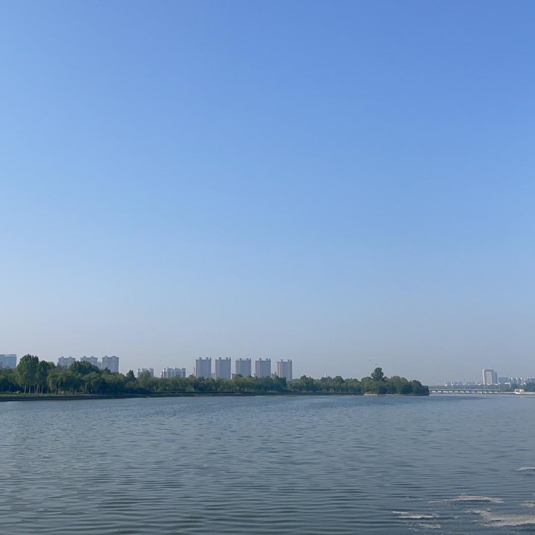 一天到晚游泳的鱼