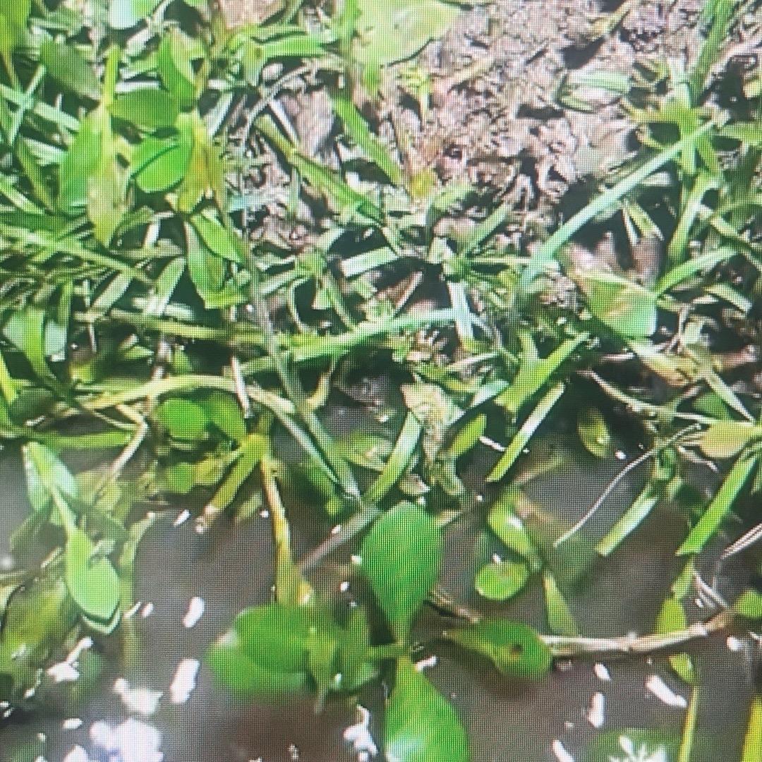 不钓二百斤不回家