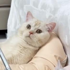 有点·甜