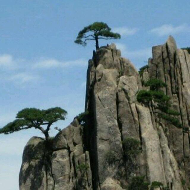 追星望月