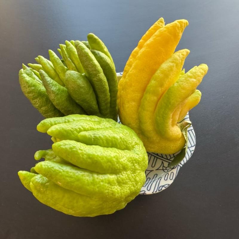 昆明禾悦森花卉精品店