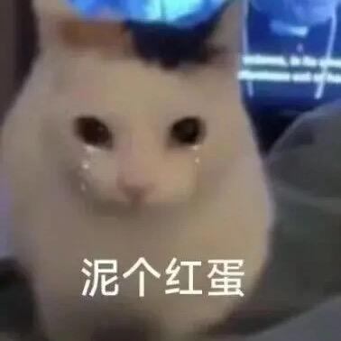 d0gbackwards