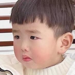 苏杭（庭院景观树）