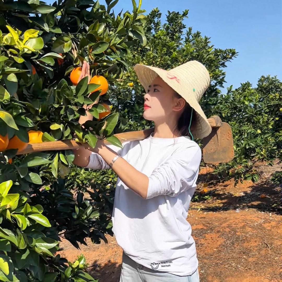 三花聚财（付九九）