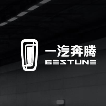 一汽奔腾株洲合宏志诚总店