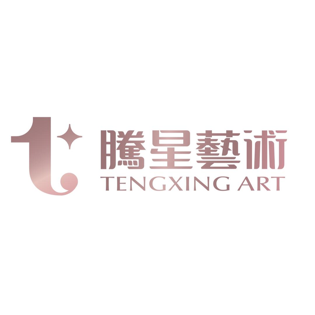 北京腾星艺术高中