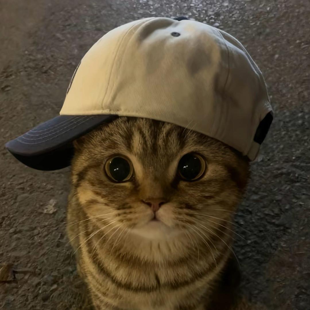 𝑳𝑨𝑵𝑴^
