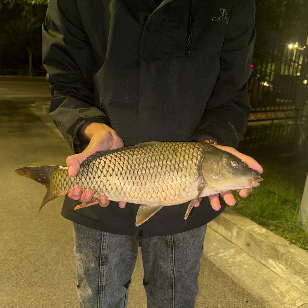 林岳钓不着鱼🎣