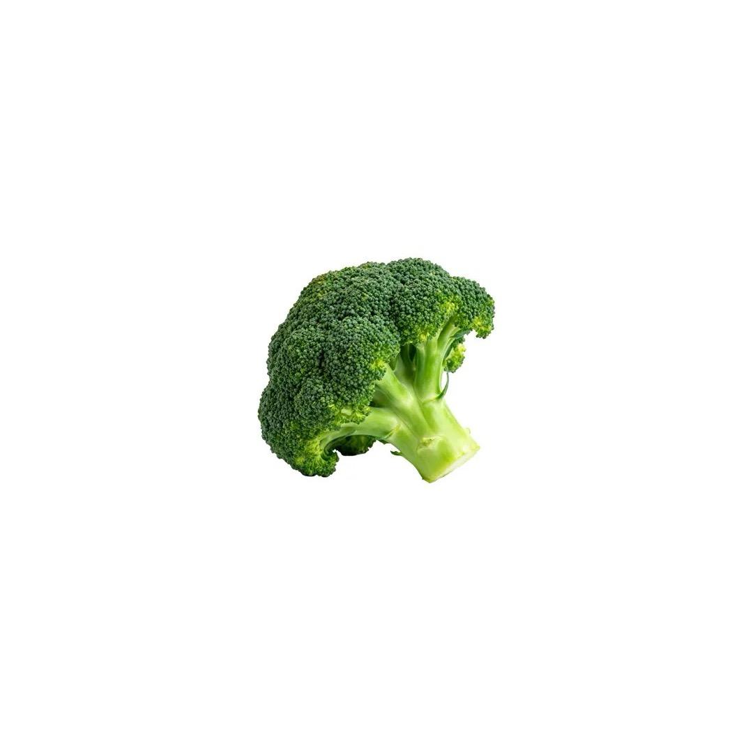 晨昏线.