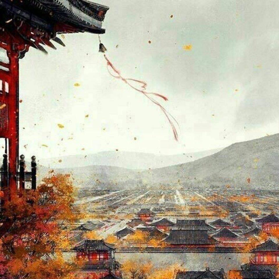 快乐🐟宝