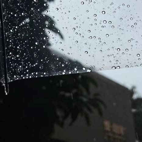 洗发水小天