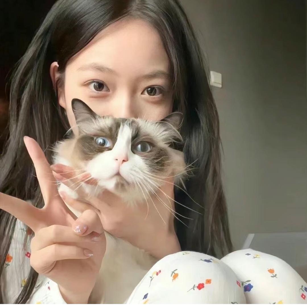 今晚早点睡ʕ •ᴥ•ʔ