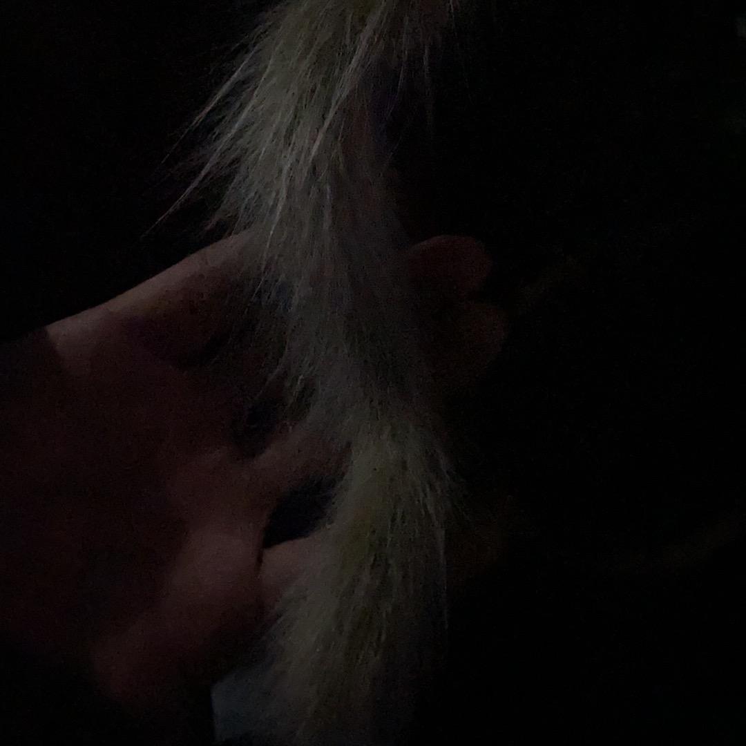 一十一世一石