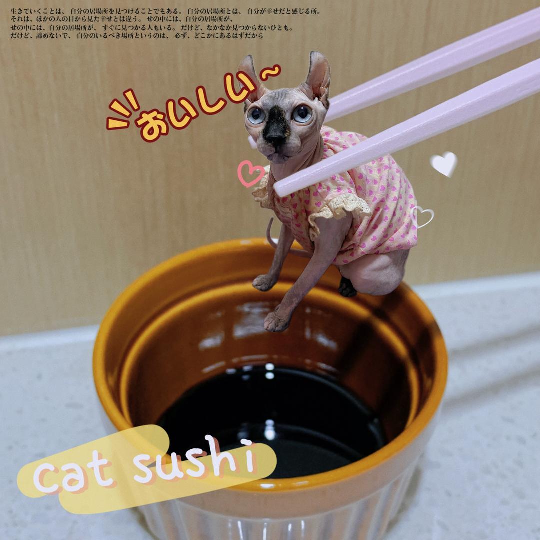 张小兮𝒁𝑿𝑿_