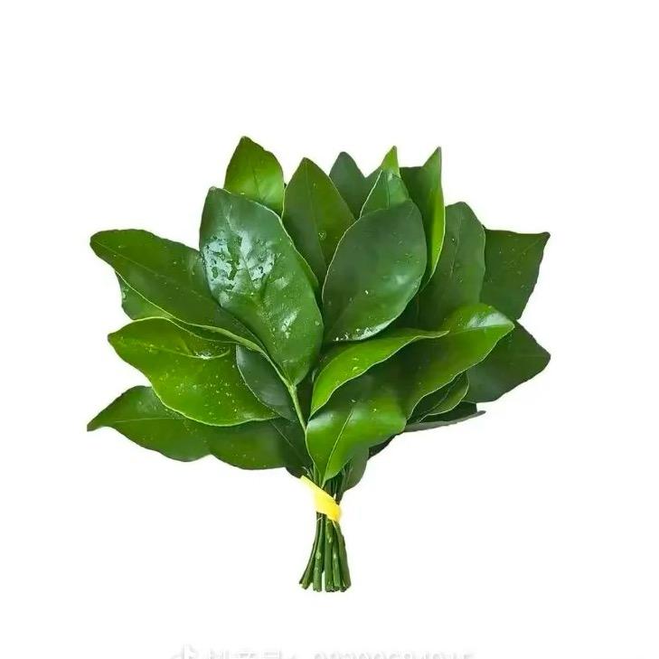 Cc