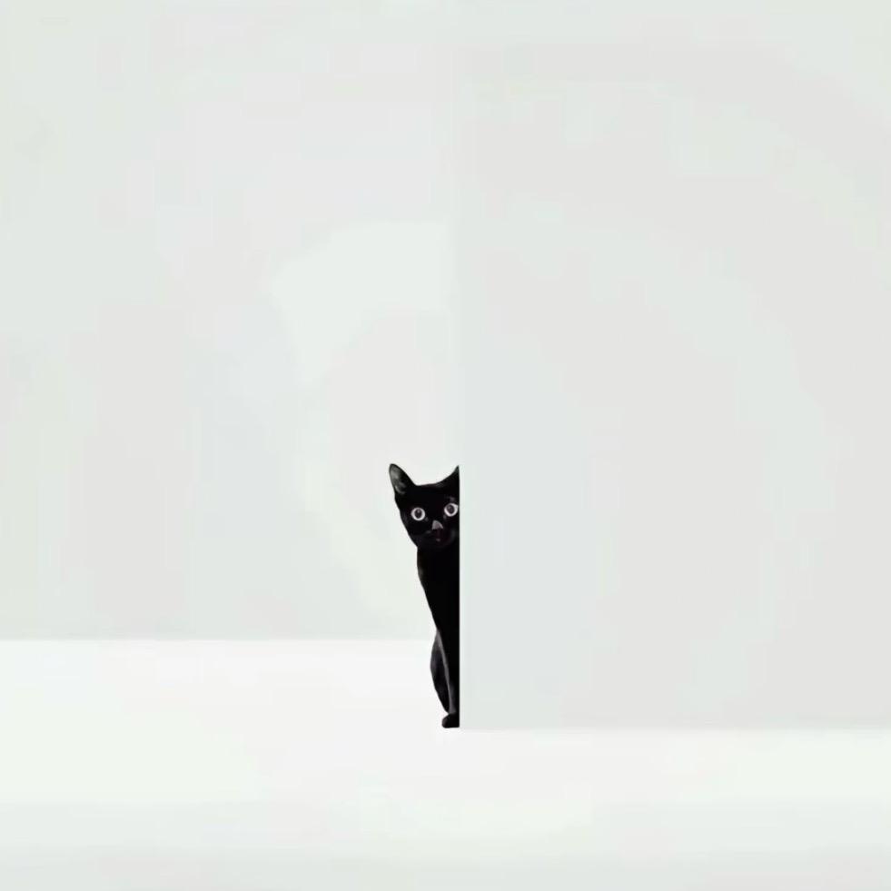 子龙