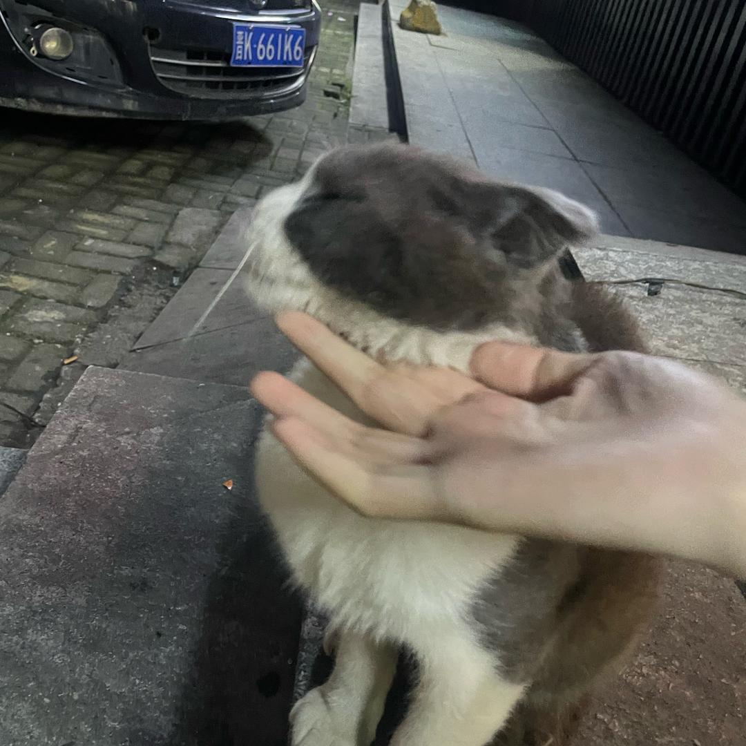 晚安-