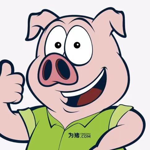 每天讲猪事-10